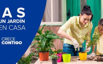 ¿Cómo adecuar un jardín pequeño en tu hogar?