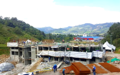 Amarello avanza con bases firmes