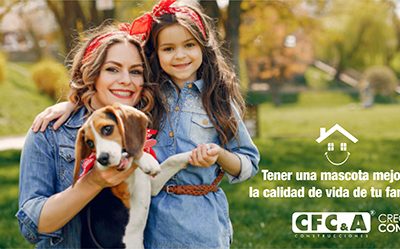 Beneficios de tener mascotas en tu hogar, conócelos aquí.