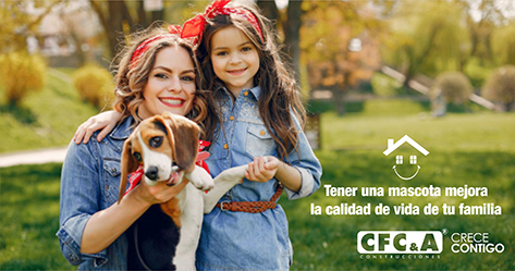 Beneficios de tener mascotas en tu hogar, conócelos aquí.