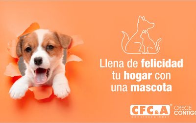 Conoce los requisitos para tener mascotas en propiedad horizontal