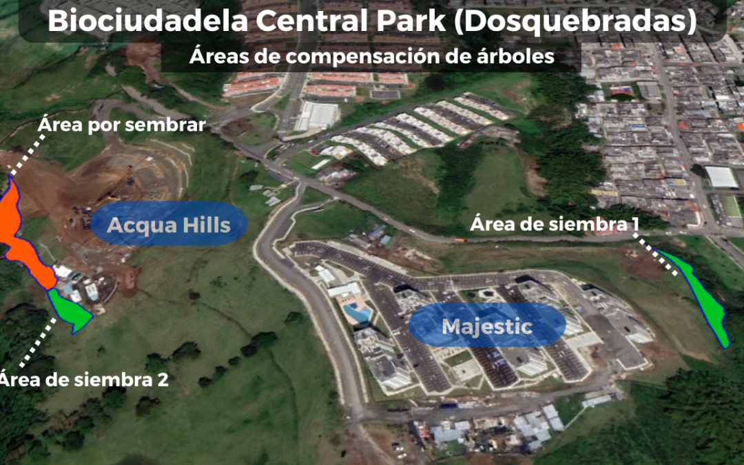 Seguimos sembrando árboles en la Biociudadela Central Park Dosquebradas